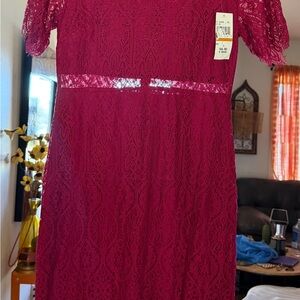 Women's Lace Sheath Dress in Fuchsia